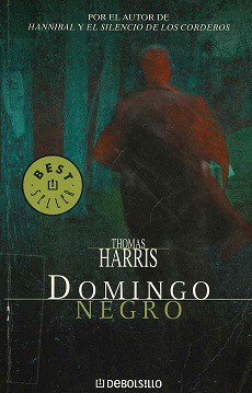 Portada de Domingo negro