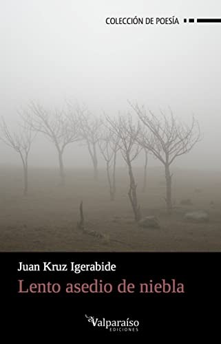 Portada de Lento asedio de niebla