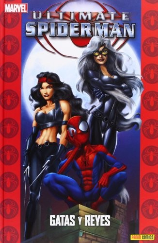 Portada de Gatas y reyes