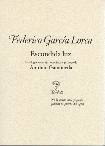 Portada de Escondida luz