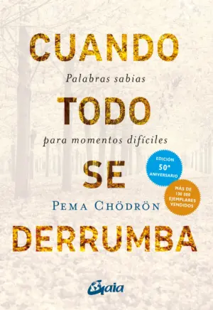 Portada de Cuando todo se derrumba