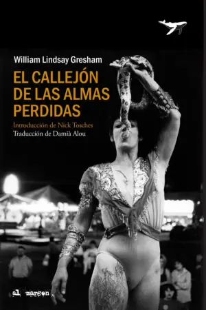 Portada de El callejón de las almas perdidas
