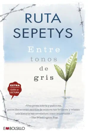 Portada de Entre tonos de gris