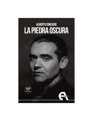 Portada de La piedra oscura