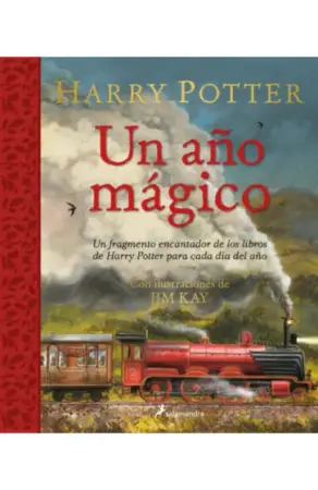Portada de Un año mágico